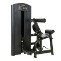 equipos de gimnasio Back Extension XF20